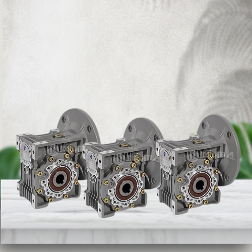 Hộp số giảm tốc Wuma-WMRV63-100-80B5